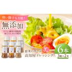 素材力 高知屋 ドレッシング 6本セット 人参