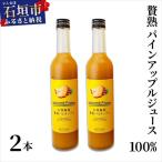 石垣島産 パイナップルジュース 500ml×2本