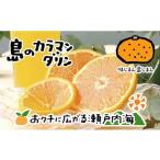 完熟春みかん カラマンダリン 2kg