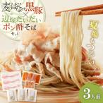 麦のはなの黒豚 辺塚だいだいポン酢 そば