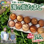 飛ぶ鳥農場 海の街たまご 40個×6か月