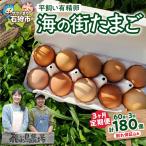 飛ぶ鳥農場 海の街たまご 60個×3か月