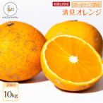 訳あり 森本農園の手選別 小粒清見オレンジ 約10kg