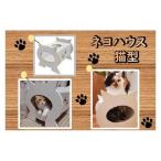 ネコハウス 猫型