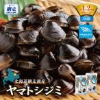 網走湖産 ヤマトシジミ 600g