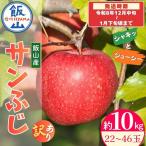 訳あり サンふじ りんご