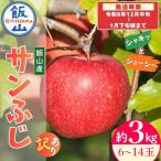 訳あり サンふじ りんご