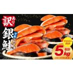 ふるさと納税 銀鮭 切り身 5kg【32-45切れ TVで紹介 訳あり サイズ不揃い 海鮮 魚介 鮭 さけ しゃけ お弁当 簡単調理 家計応援 まとめ買い】 大阪府泉佐野市