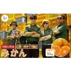 ふるさと納税 訳あり 森本農園の手選別 小粒みかん 約10kg 和歌山県産 2S・3Sサイズ混合 ［北海道・沖縄・離島配送不可］［2025年11月上旬か.. 和歌山県和歌山市