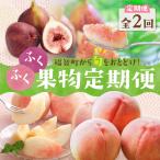 Z99-83 受付開始★ ふくふく果実定期便
