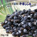 宍道湖産 冷凍 しじみ 約1.2kg