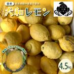 栽培期間中農薬不使用 大和レモン 4.5kg