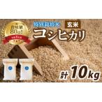 南条米 特別栽培米コシヒカリ 真空パック