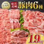 豚肉 産豚肉6種1.9kg