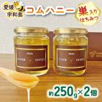 巣蜜 コムハニー 250g