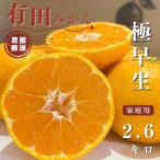 有田みかん 極早生 2.6kg