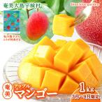 2026年7月~ 完熟 マンゴー 冷蔵 アップルマンゴー