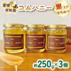 巣蜜 コムハニー 250g