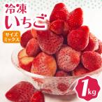 完熟 冷凍 いちご 1kg