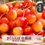 さくらんぼ 佐藤錦 秀Mサイズ 600g