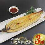 鰻蒲焼 3尾