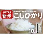 コシヒカリ 10kg