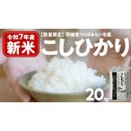 コシヒカリ 20kg