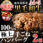 産黒毛和牛100%使用極上ハンバーグ計300g 150g×2個