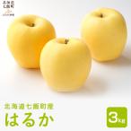 りんご はるか3kg NAAL004