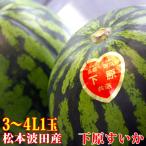 fu.... налог арбуз внизу .... Shinshu Matsumoto волна рисовое поле производство 3~4L ( 8kg ~ 11kg ) × 1 шар Nagano префектура Matsumoto город 