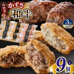 肉総菜 3種セット 詰合せ 各3個