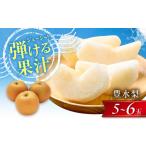 豊水梨 5-6玉入り BKAD050 梨