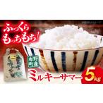 産お米 ミルキーサマー5kg 米