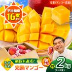 友枝マンゴー農園の完熟訳ありマンゴー約2kg
