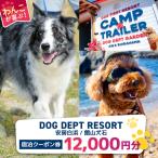 宿泊券 旅館 民宿 DOG DEPT RESORT
