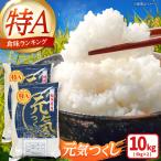 元気つくし白米10kg 5kg×2袋