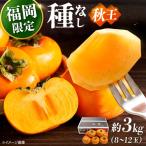 秋王柿 3kg