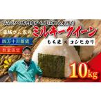 藤城さん家のミルキークイーン10kg