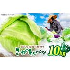 fu.... налог капуста 10kg(6-8 шар ) /. рис [IDG005] Saga префектура белый камень блок 