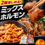 元祖みたけとんちゃん ミックスホルモン