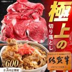 牛肉 3回定期便 佐賀牛 切り落とし 600g