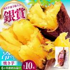 6回定期便 紅はるか 冷やし焼き芋 10本入