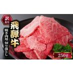 ★お試し★250g 訳あり 飛騨牛 切り落としスライス