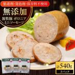 ミニ ボロニアソーセージ 計540g