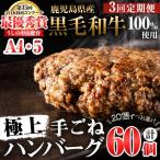 産黒毛和牛100%使用 極上手ごねハンバーグ 計9kg