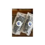 fu.... налог Frozen голубика 800g(400g×2) * легкий в использовании размер освежение . кислота тест. ... рефрижератор талант . голубика Ishikawa префектура талант . блок 