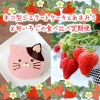いちご ジェラートケーキ あまおう 白木のいちご