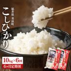 定期便 米 コシヒカリ 10kg