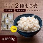 二種もち麦 5個