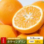 カラマンダリン 約3kg